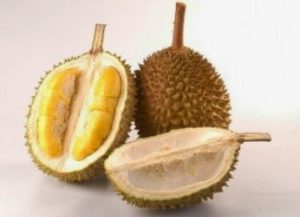 cara memilih buah durian yang matang dan enak