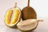 cara menghindari mabuk durian