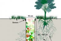 cara membuat lubang resapan biopori dan cara memanfaatkan air hujan