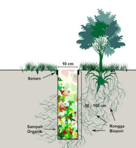 cara membuat lubang resapan biopori dan cara memanfaatkan air hujan