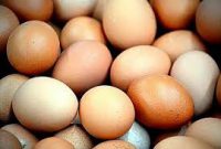 cara praktis memilih telur segar