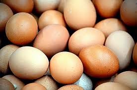 cara praktis memilih telur segar