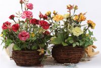 Tanaman Mawar Dalam Pot