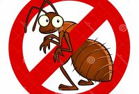 cara menghilangkan semut di rumah secara alami