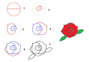 Cara Menggambar Bunga Mawar Bagi Pemula Dalam 7 Langkah Mudah Kumpulan Cara Praktis