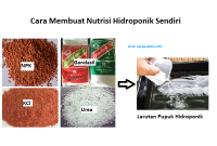 cara membuat nutrisi hidroponik sendiri