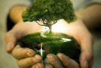 menanam pohon cara mencegah pemanasan global