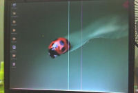 Cara Memperbaiki LCD Laptop Yang Keluar Garis Putih