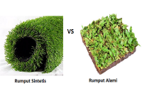 Rumput sintetis vs rumput alami