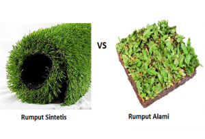 Rumput sintetis vs rumput alami