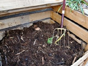cara membuat kompos sendiri menggunakan sampah rumah dan kebun